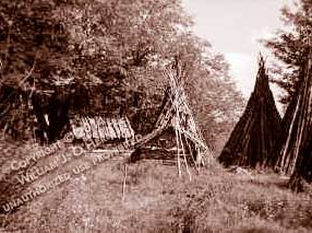 Noah's wigwams