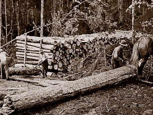 Log skidding