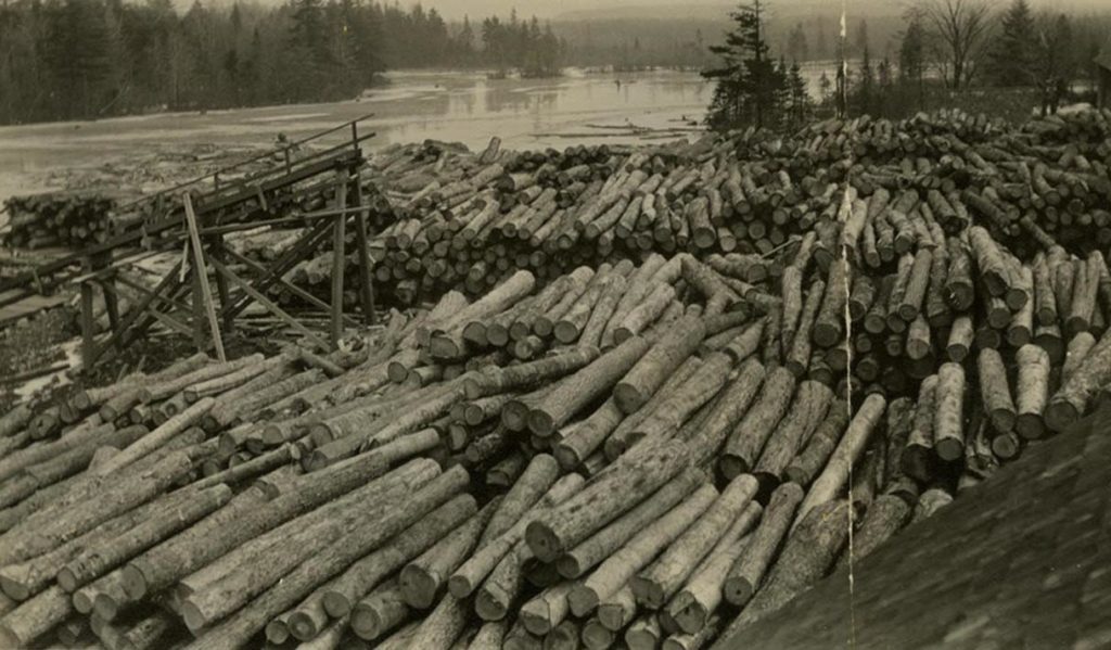 Adirondack Logging