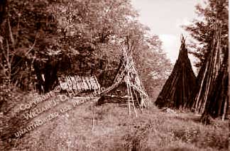 Noah's wigwams