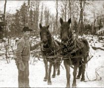 One Man Timber Operation