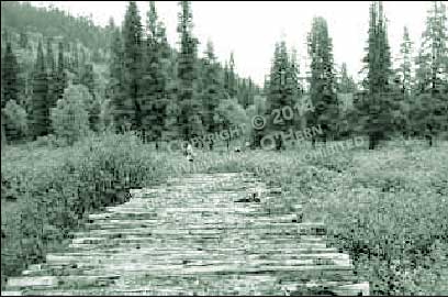 corduroy road