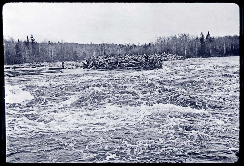 log divers