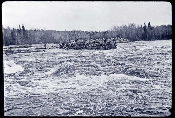 log divers