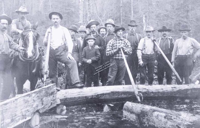 Loggers circa 1900