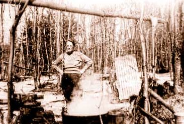 sap making